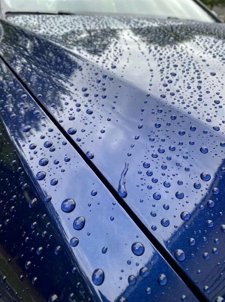 Water beading on the ceramic coated paint of a black Acura